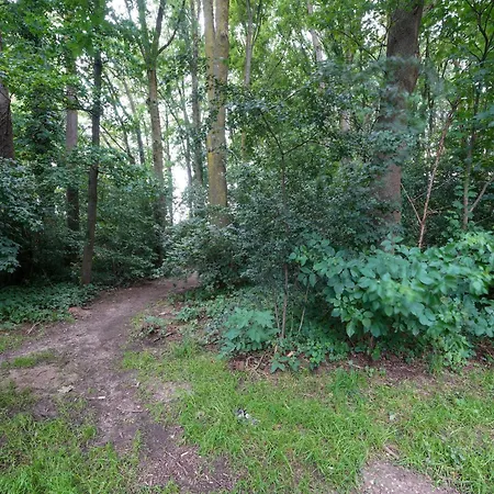 With Garden, Limburg, Cleaning Included Holiday home